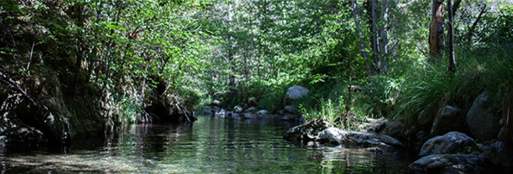 Tassajara Creek
